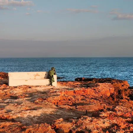 Modern Relax Oasis With Pool, 150m From The Sea 托雷维耶哈